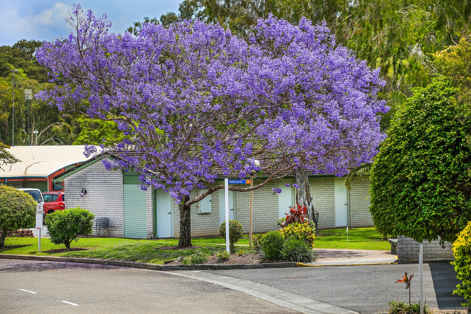 Lady Small Haven Aged Care Service