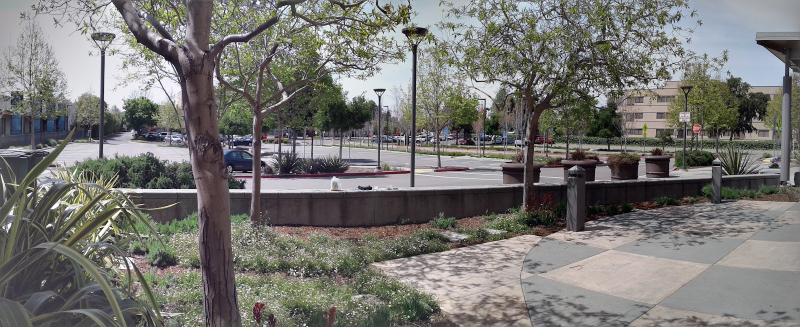 San Leandro Senior Community Center