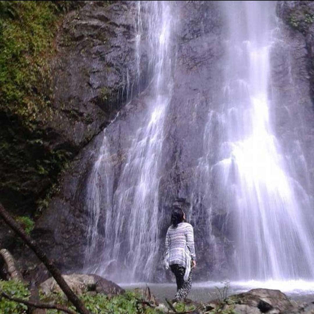 Orchid Homestay Kharka Gaon. Best offbeat destination in kalimpong.