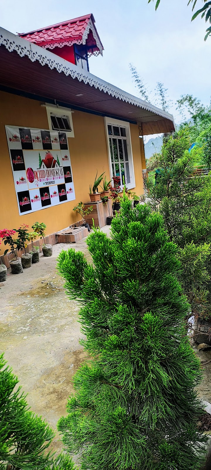 Orchid Homestay Kharka Gaon. Best offbeat destination in kalimpong.
