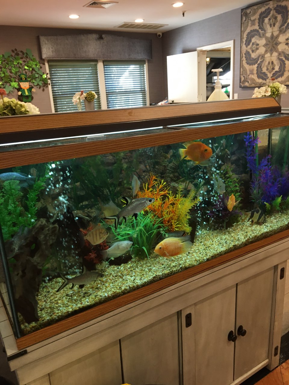 Maryville Enhanced Assisted Living Center