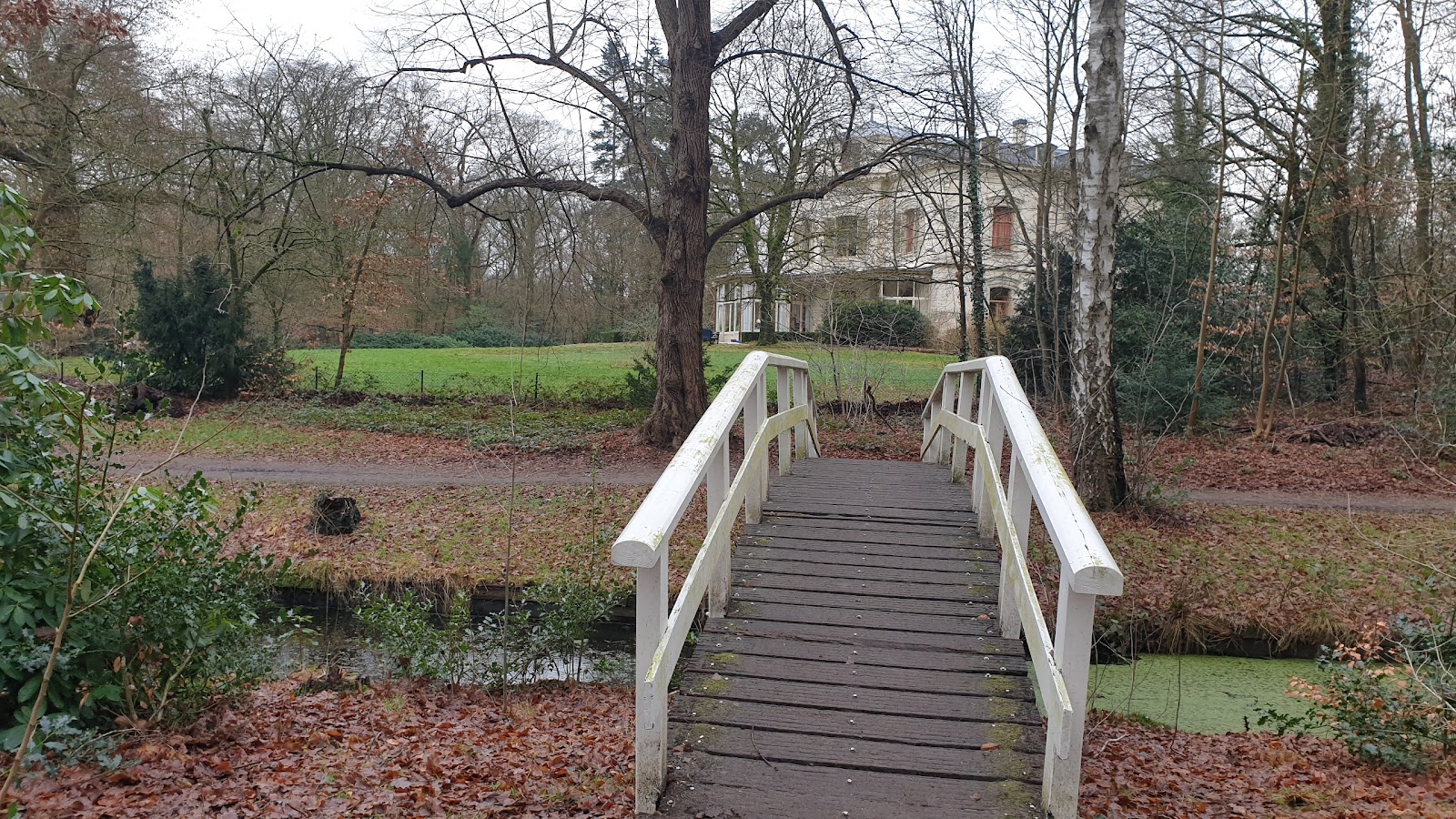Villa Pavia | Woonzorglocatie Domus Valuas