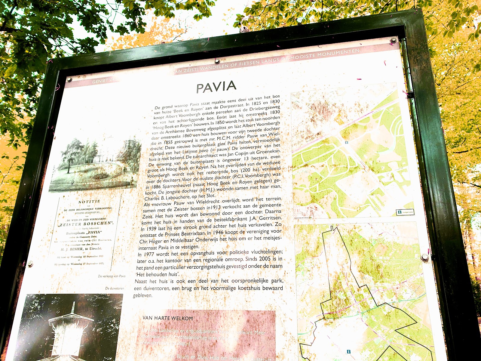 Villa Pavia | Woonzorglocatie Domus Valuas