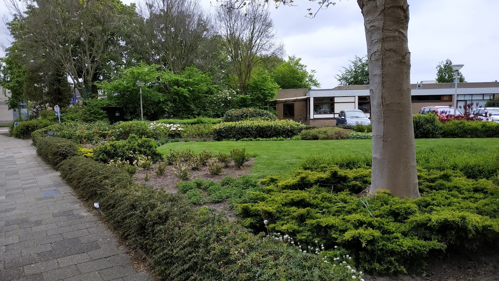 the Beukenhof