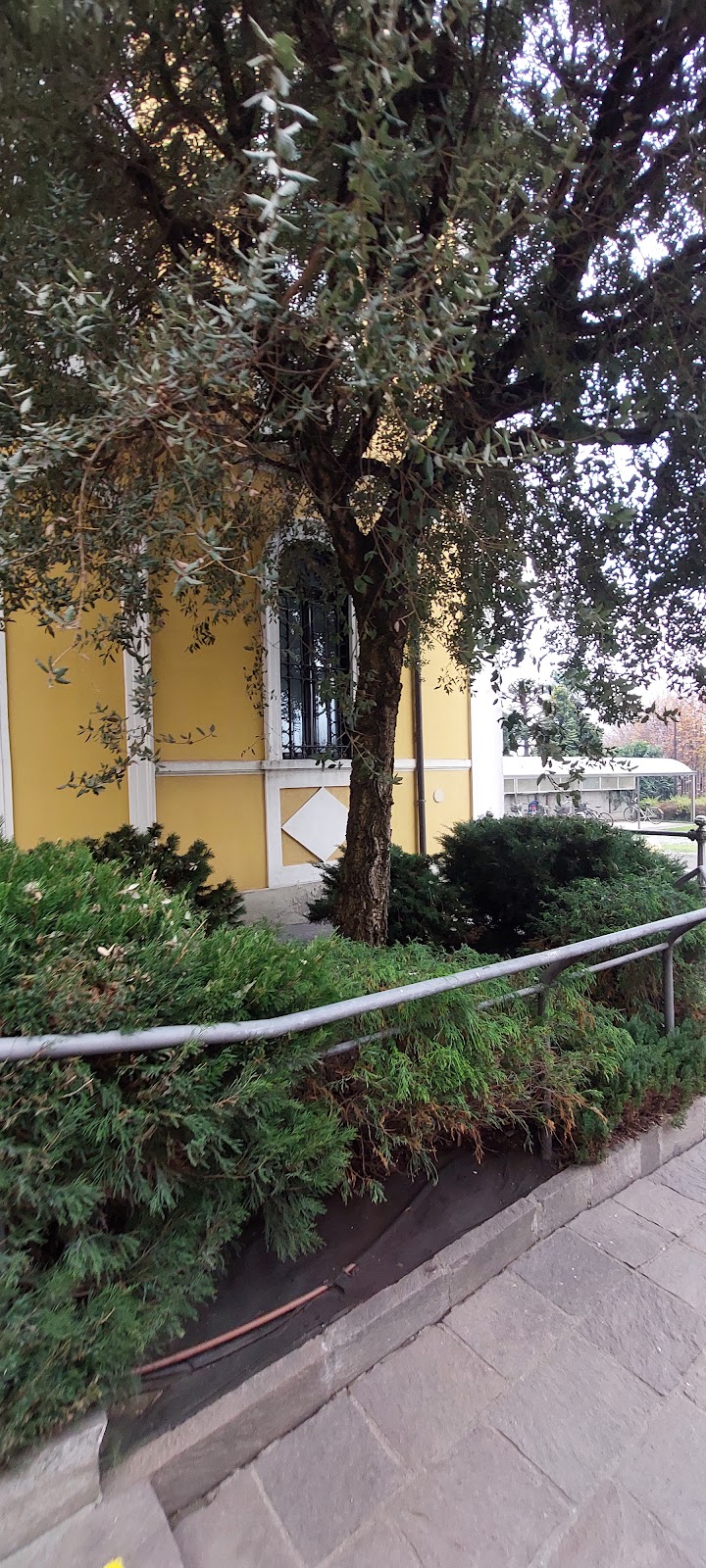 Fondazione Istituto C. Vismara G. De Petri Onlus