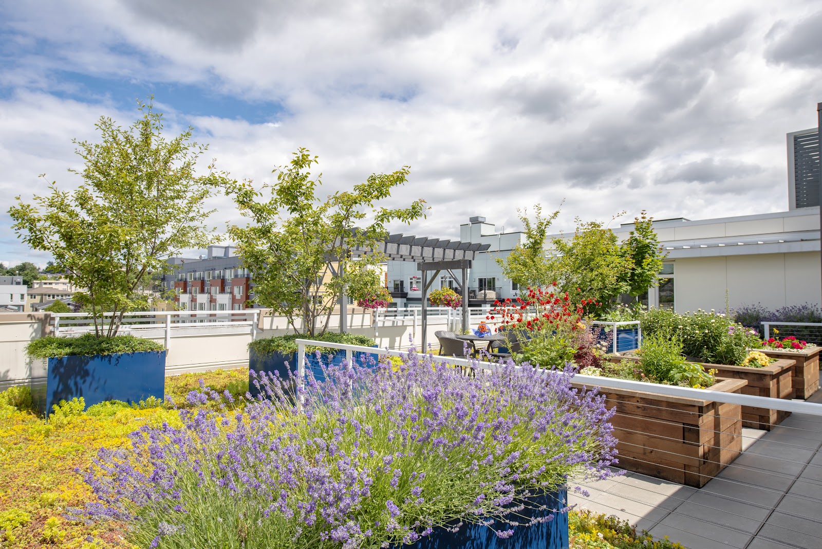 Merrill Gardens at Ballard