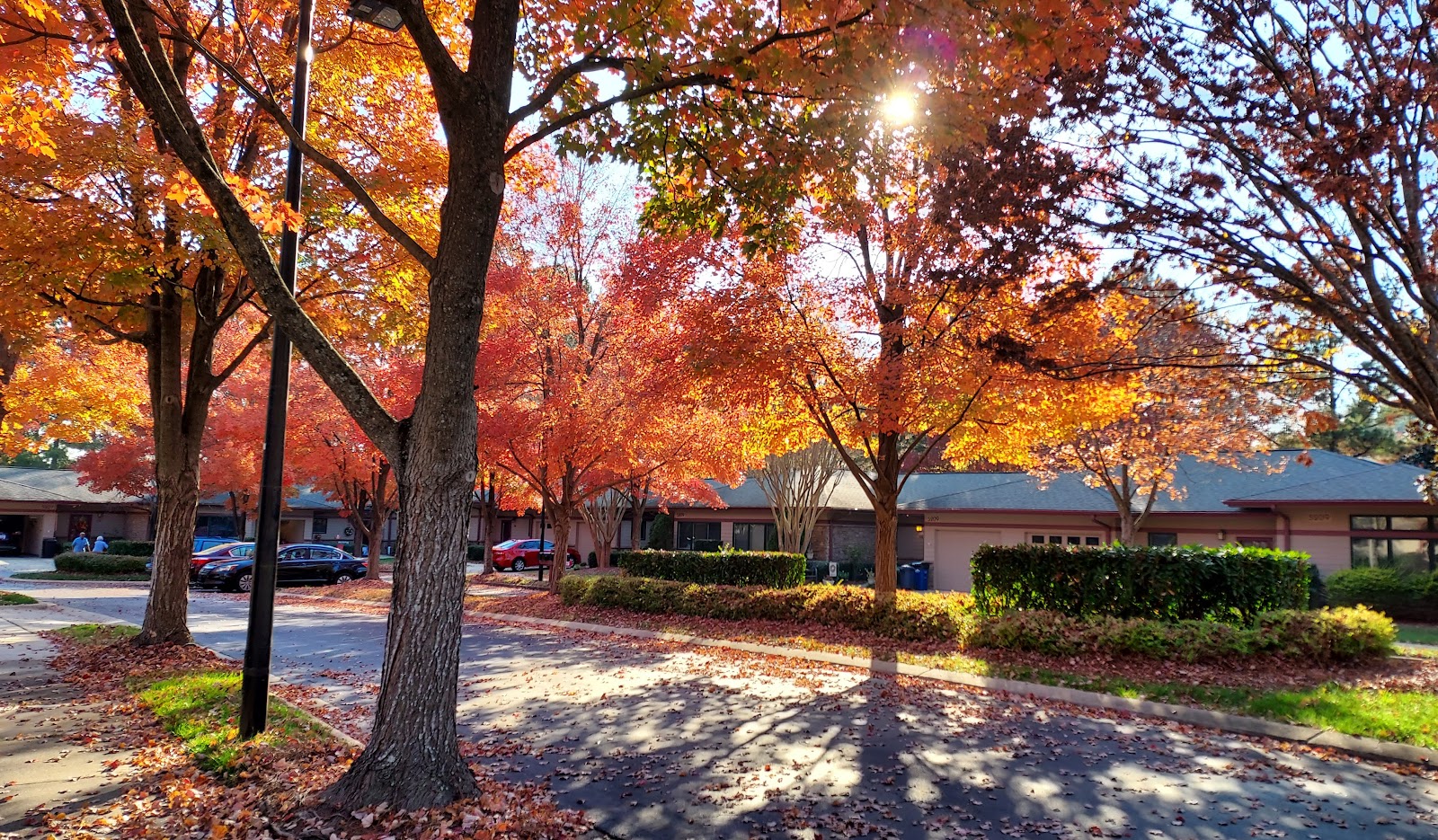 Magnolia Glen