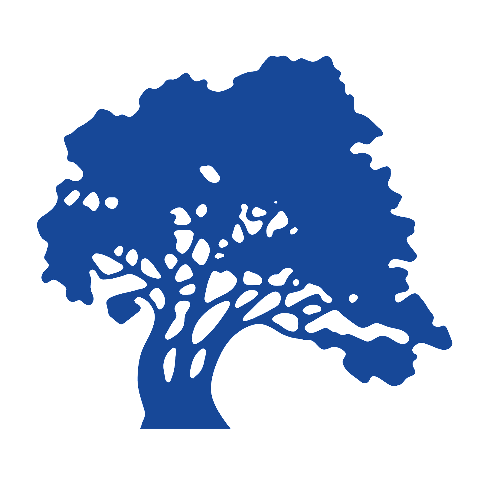 Liberty Commons Nursing & Rehab Center of Alamance County