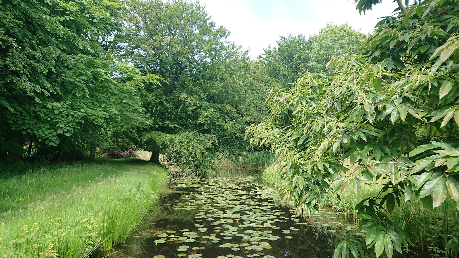 Kasteel Westhove