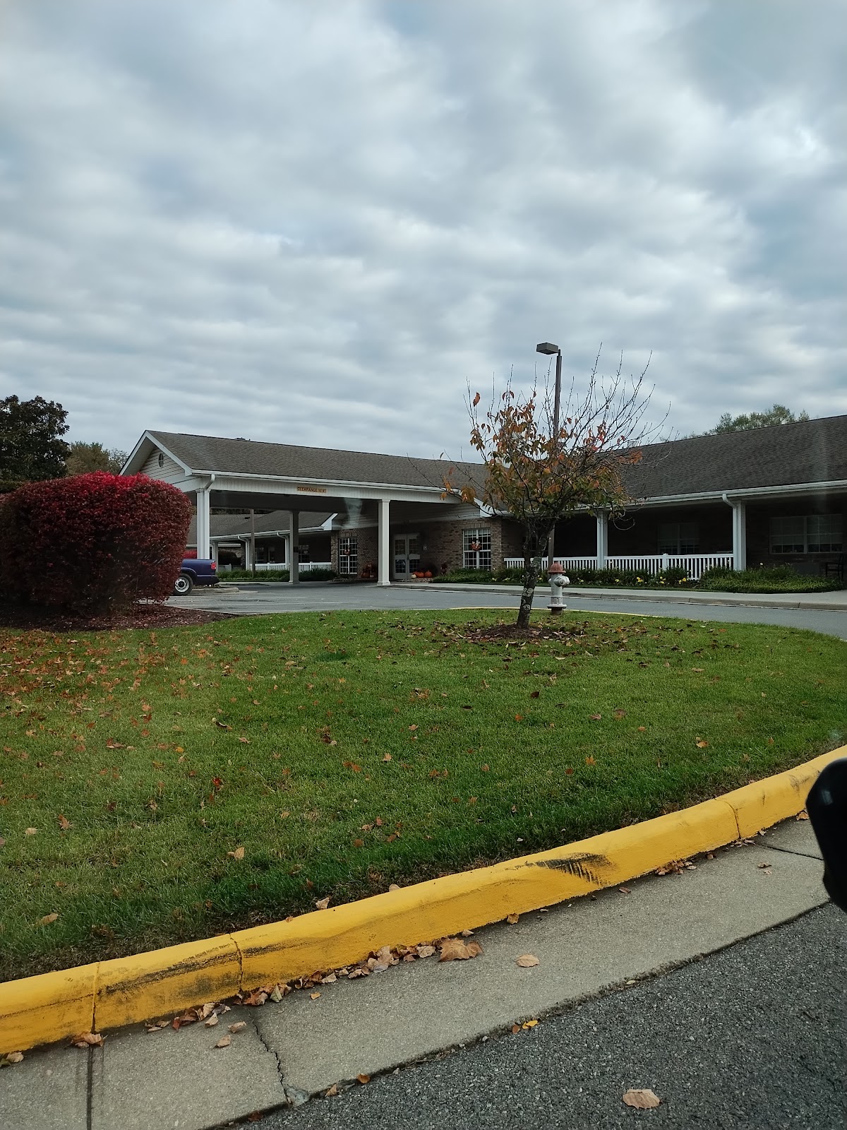 Springtree Health & Rehabilitation Center
