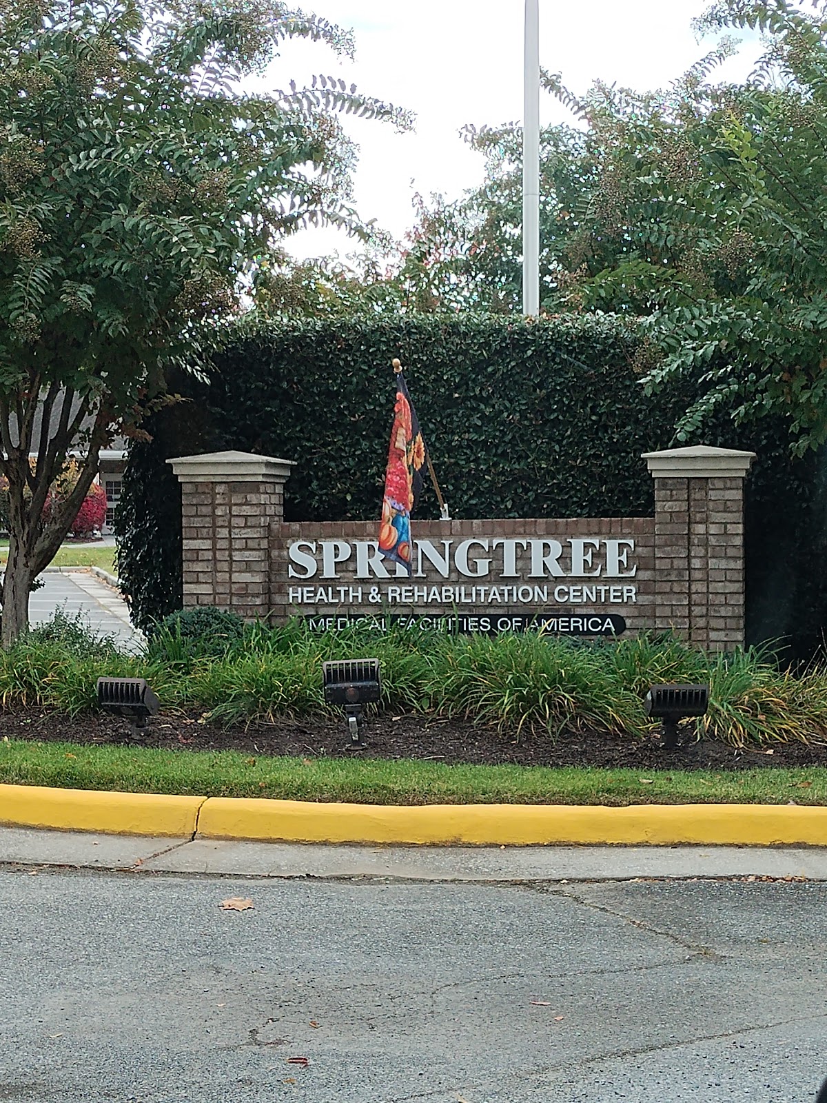 Springtree Health & Rehabilitation Center