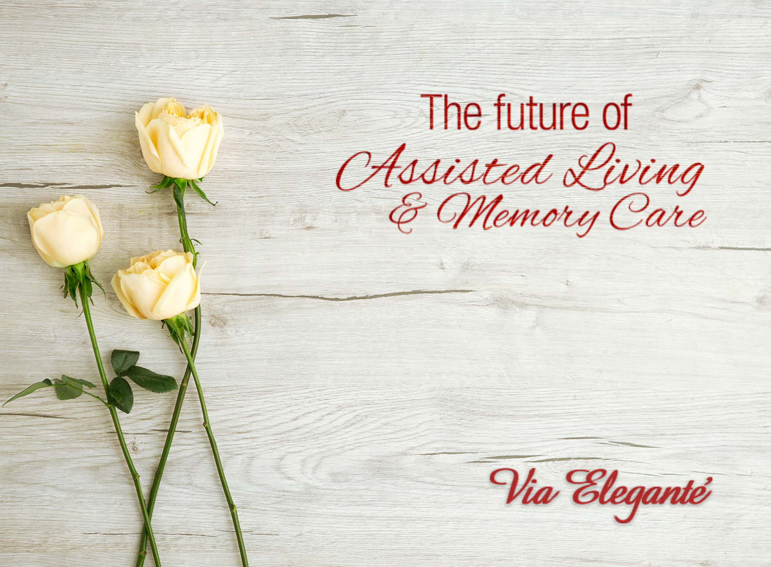 Via Elegante Assisted Living Tucson Mountains