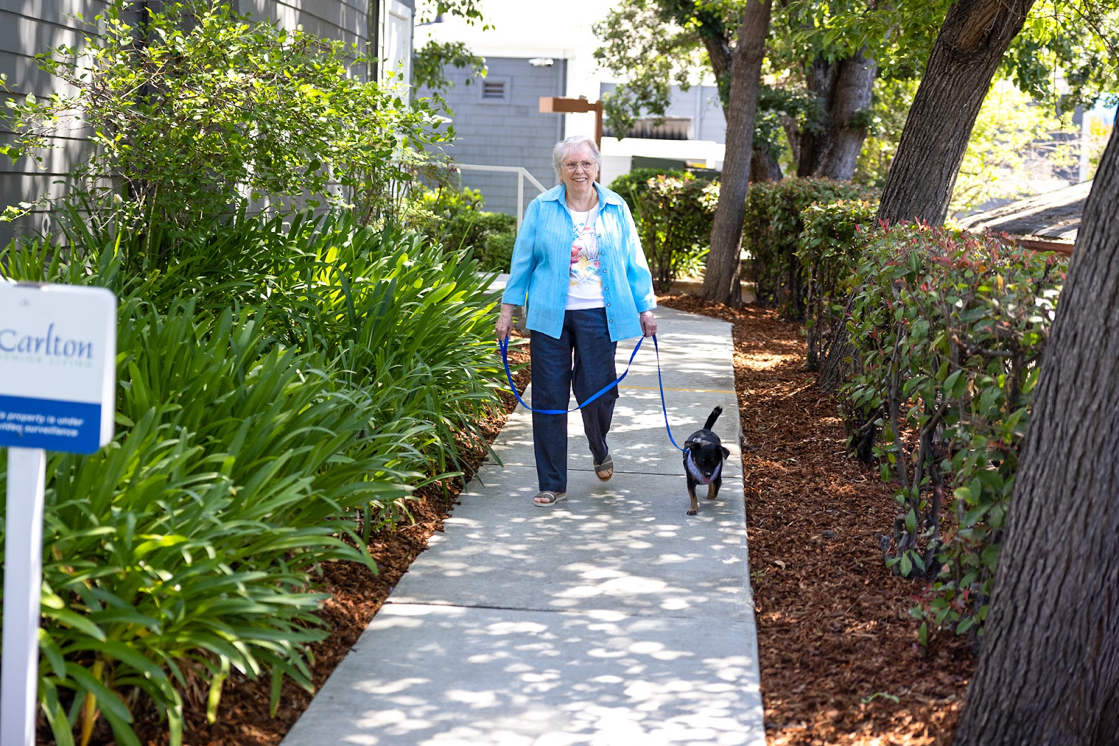 Carlton Senior Living Pleasant Hill - Martinez