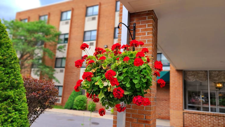 Meadowbrook Healthcare