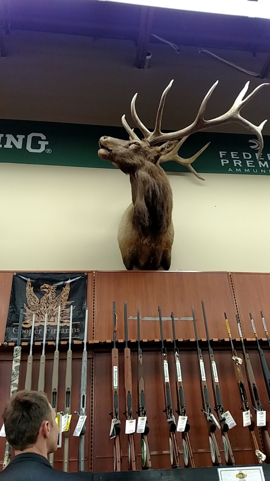 Green Top Sporting Goods