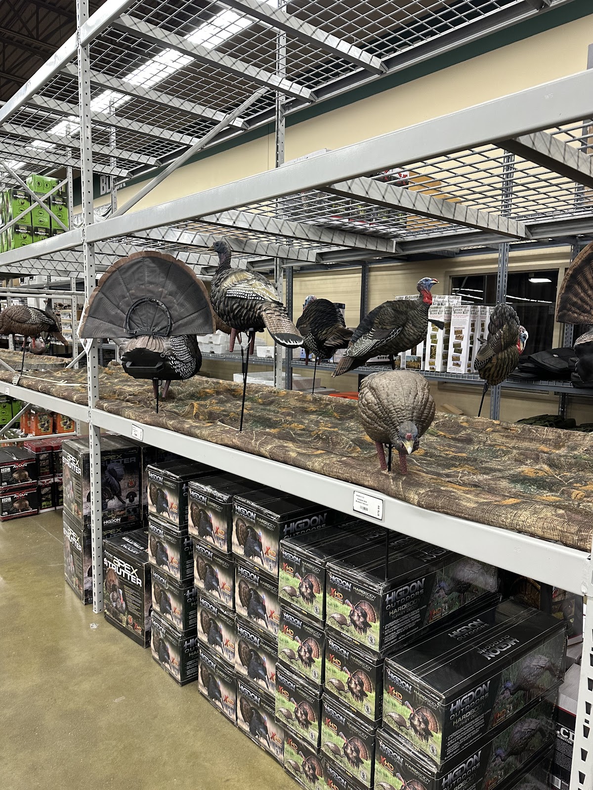 Green Top Sporting Goods