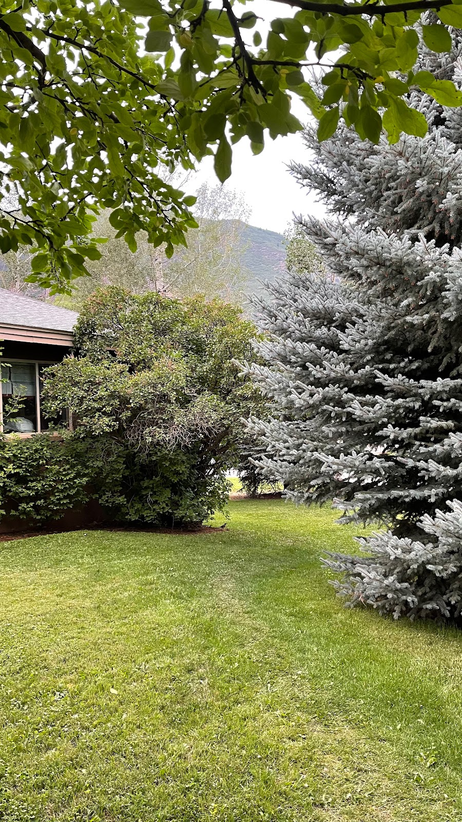 Glenwood Springs Health Care