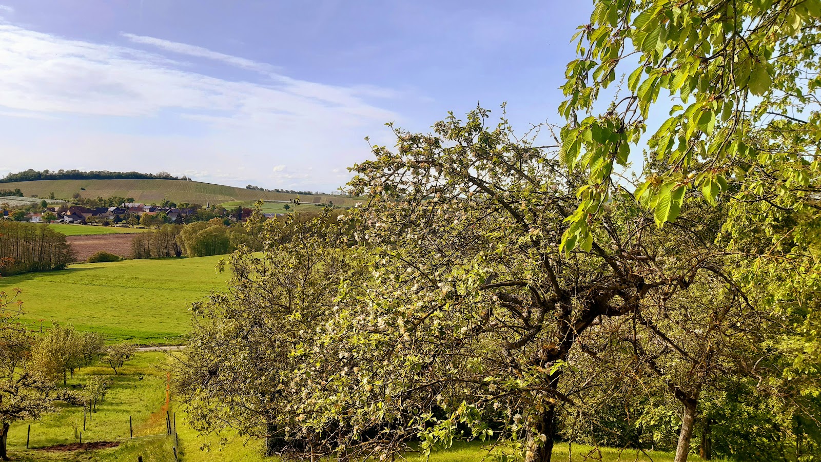 Unterer Lindelberg-Windischenbach