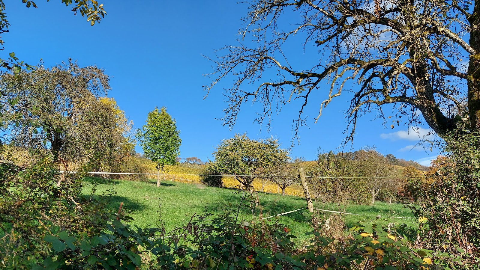 Unterer Lindelberg-Windischenbach