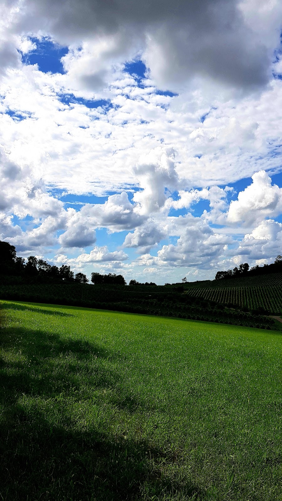 Unterer Lindelberg-Windischenbach
