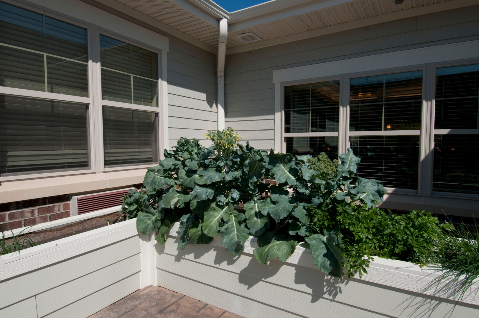 Heritage Court Memory Care