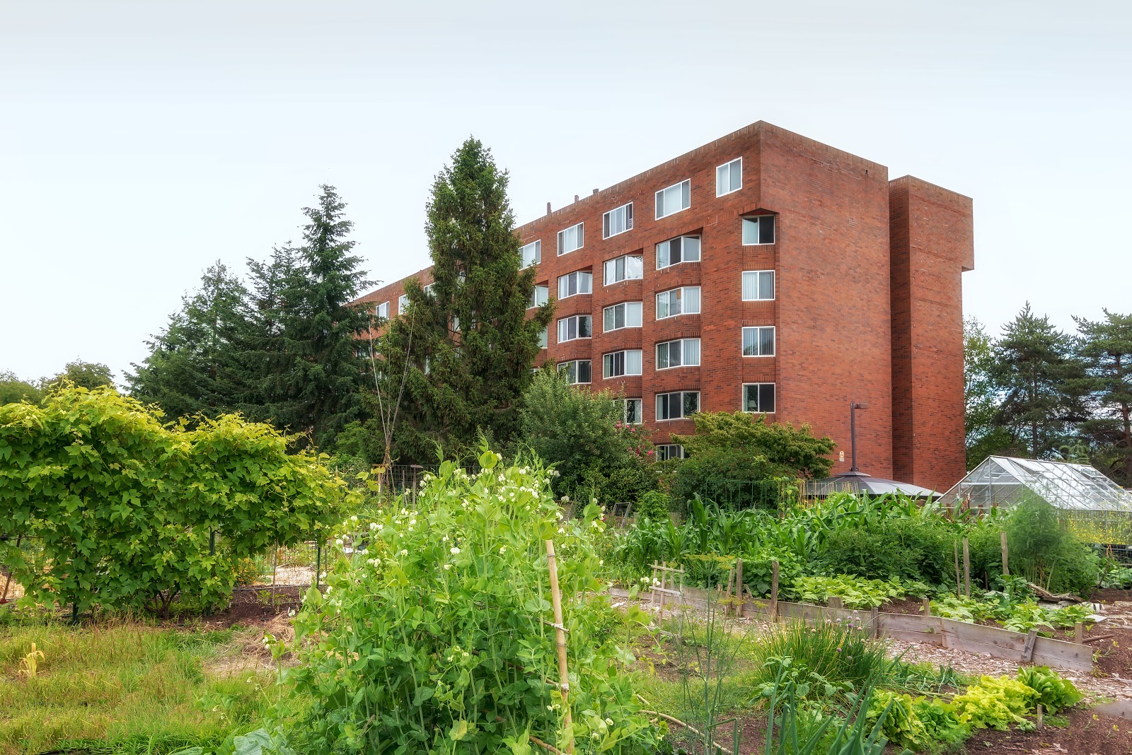 Life Manor Independent Living (Parkside)