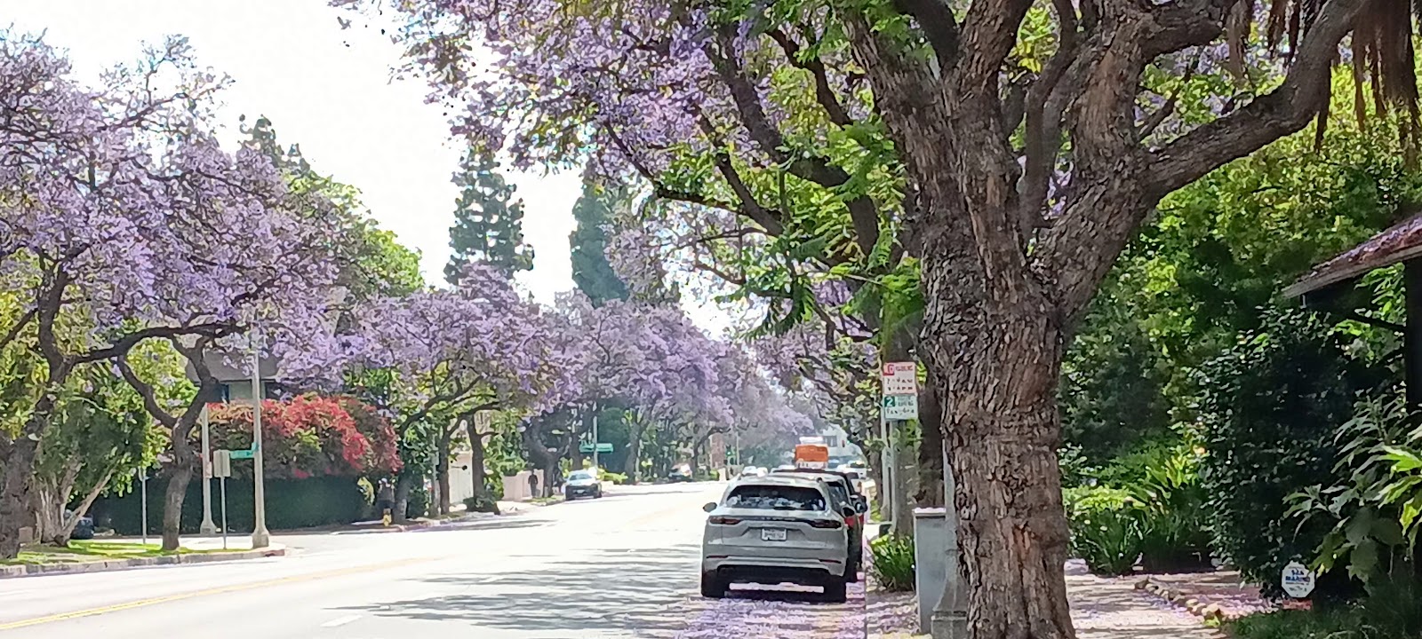Del Mar Park