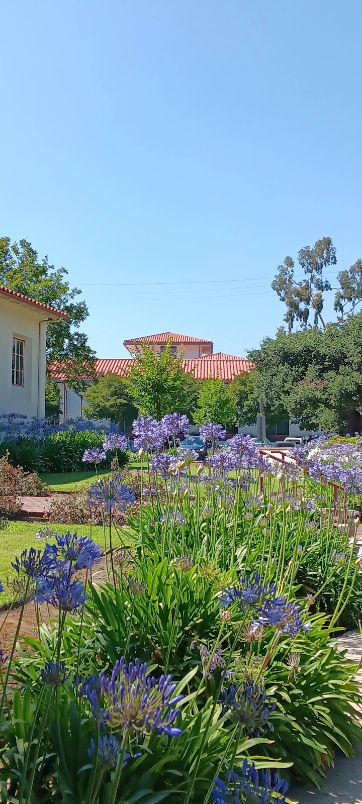 Del Mar Park