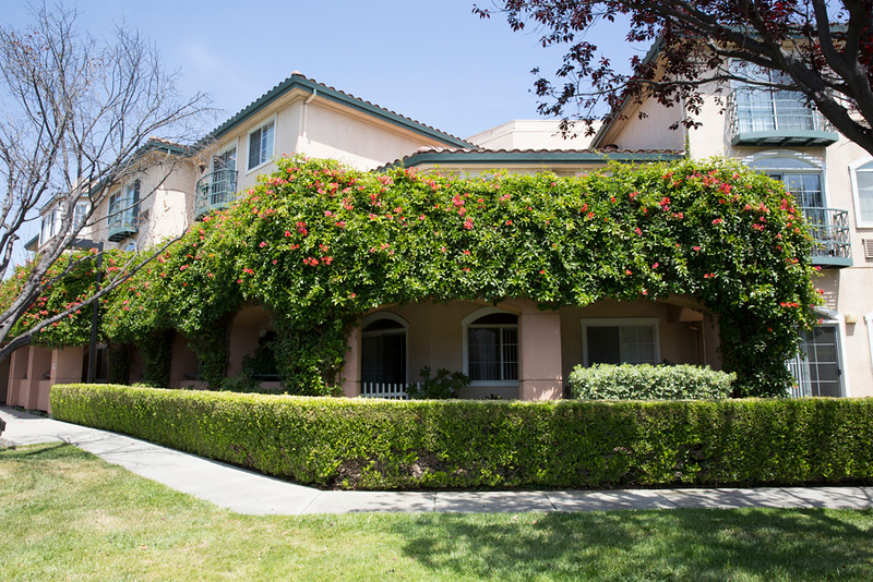 Carlton Senior Living Fremont