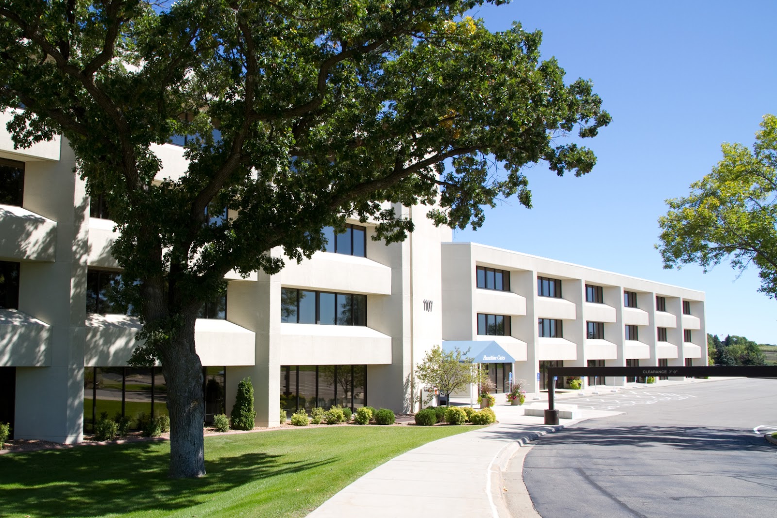 The Goodman Group