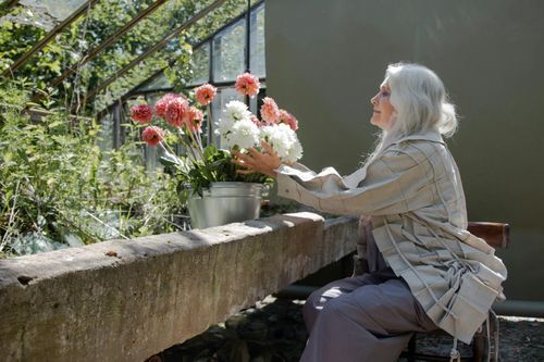 Rosewood Nursing and Rehabilitation Center: Nursing Home In New York | NY Nursing Home