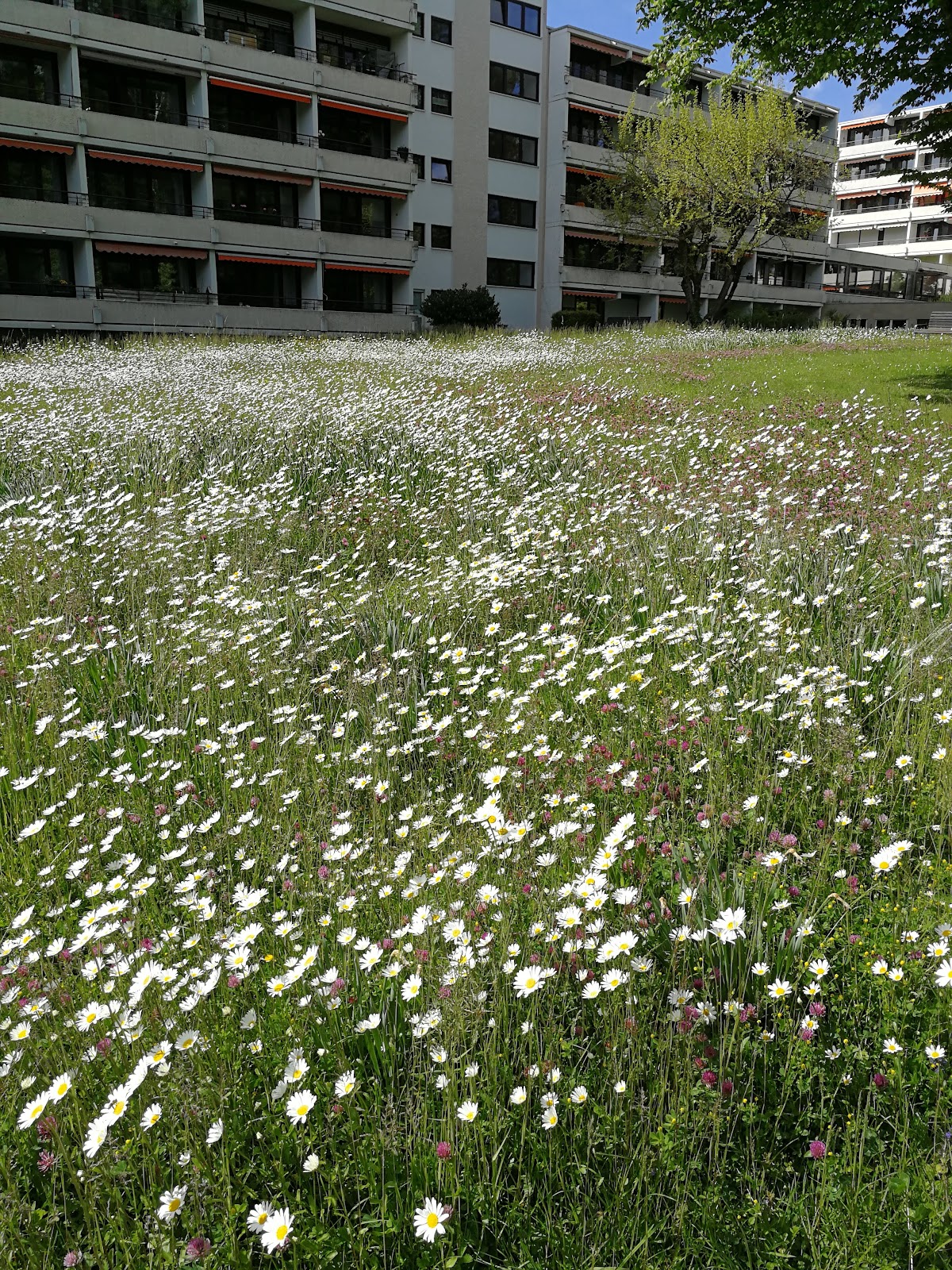 KWA Parkstift Rosenau