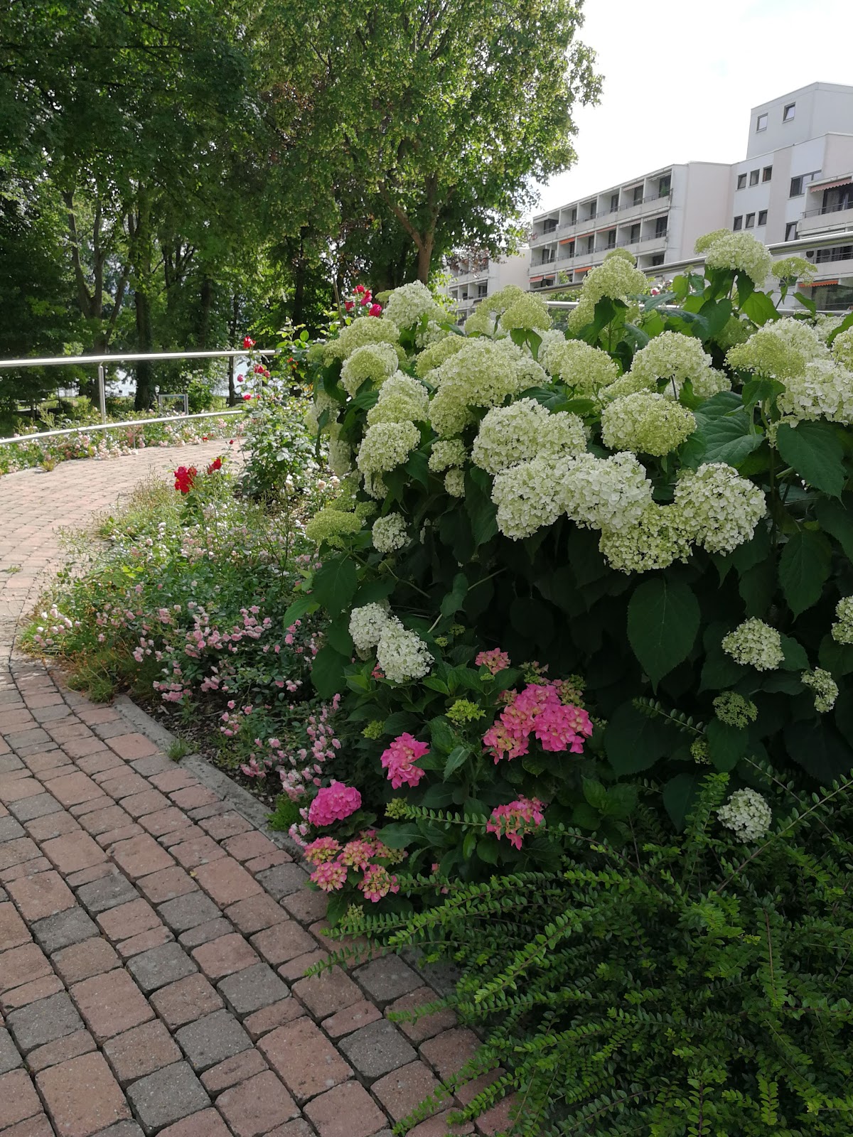 KWA Parkstift Rosenau