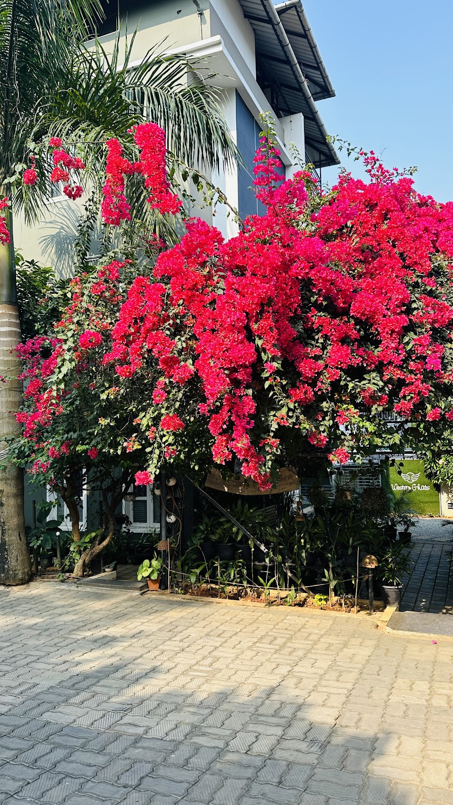 Western Ghats Holiday Homes