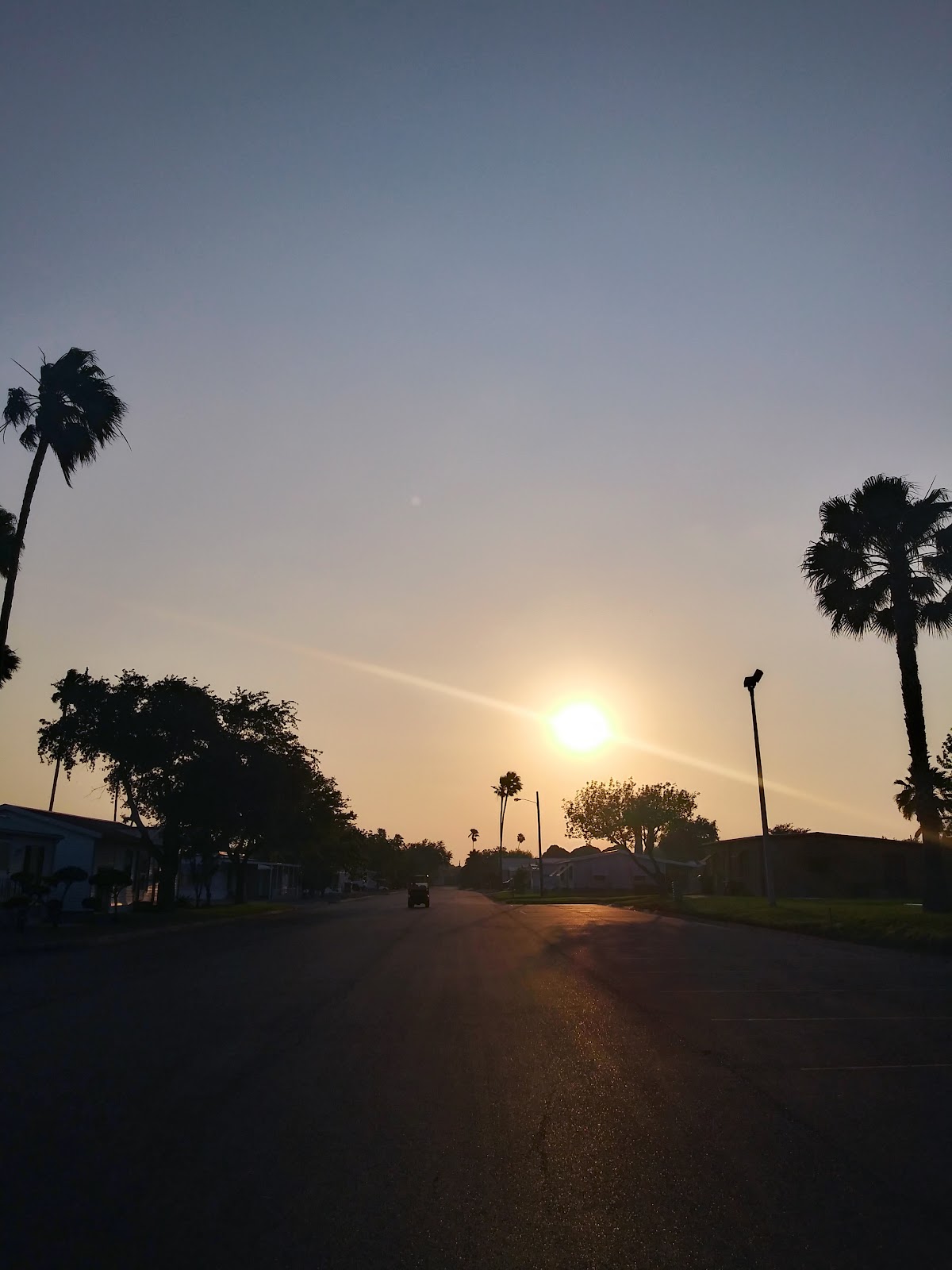 Pharr South