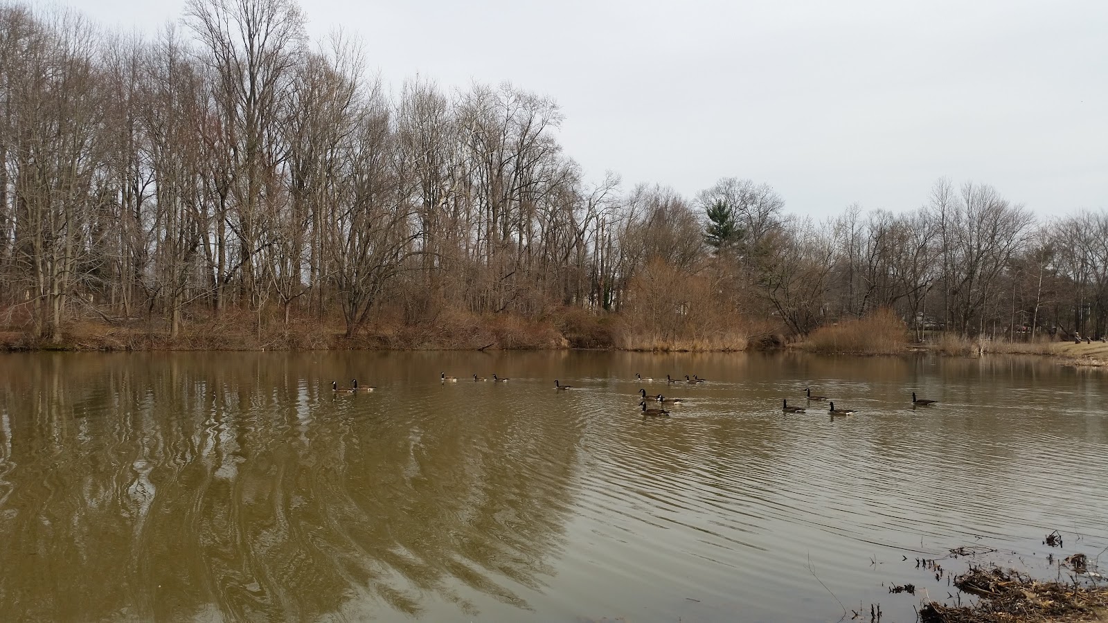 Brightview Woodbury Lake - Senior Assisted Living & Memory Care