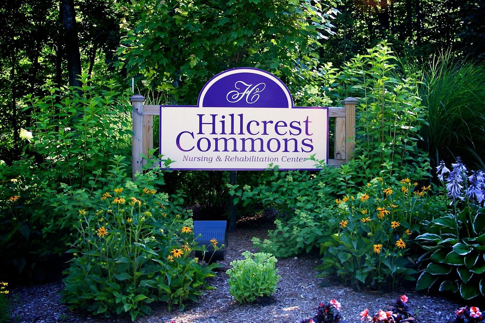 Hillcrest Commons Nursing