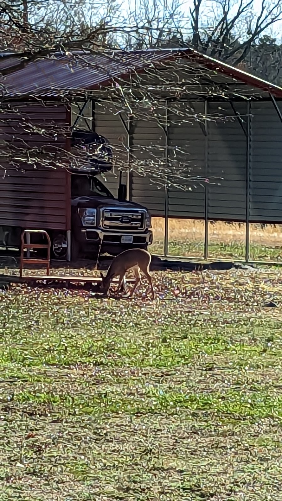 Burkeville Lodge