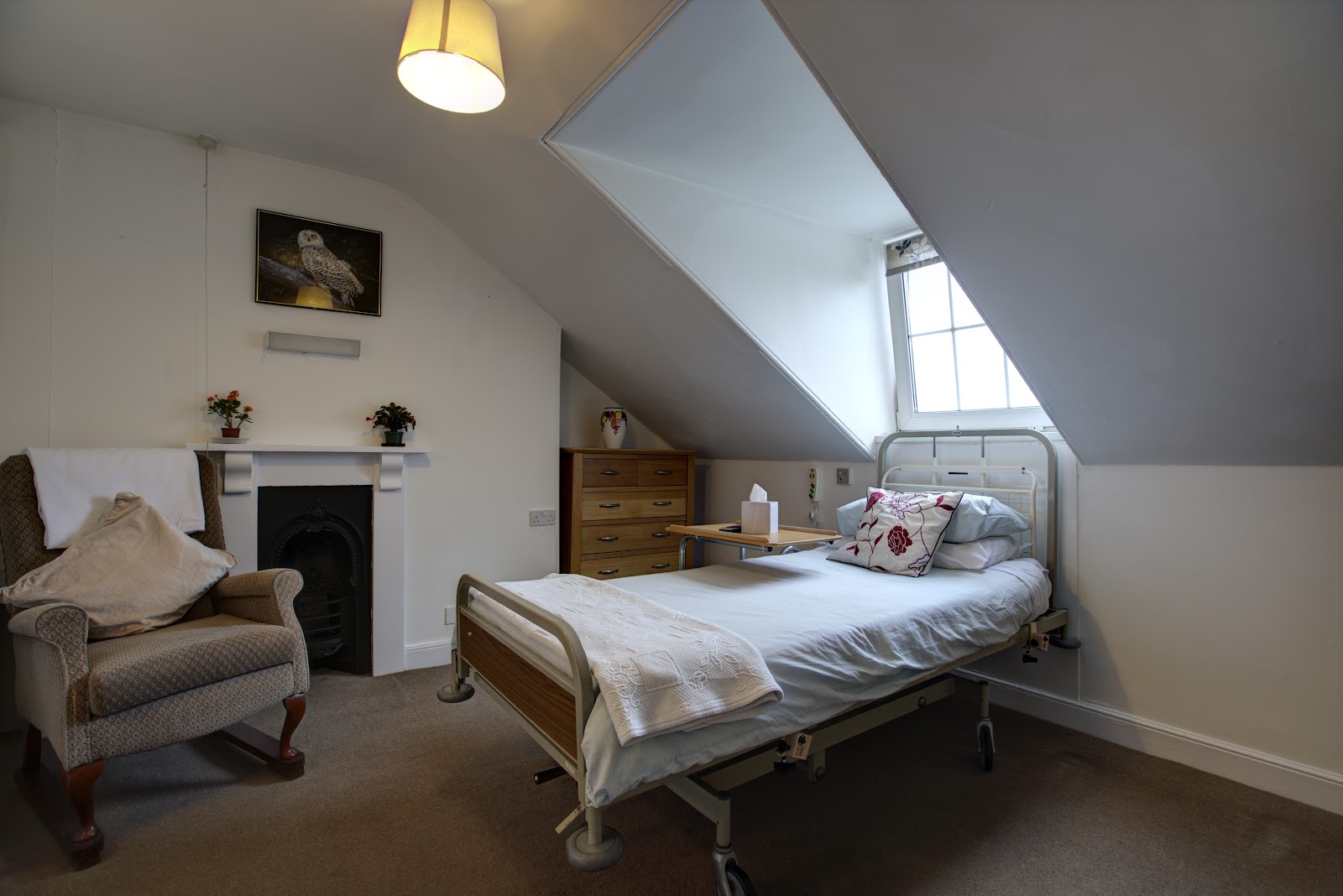 The Dales Nursing Home