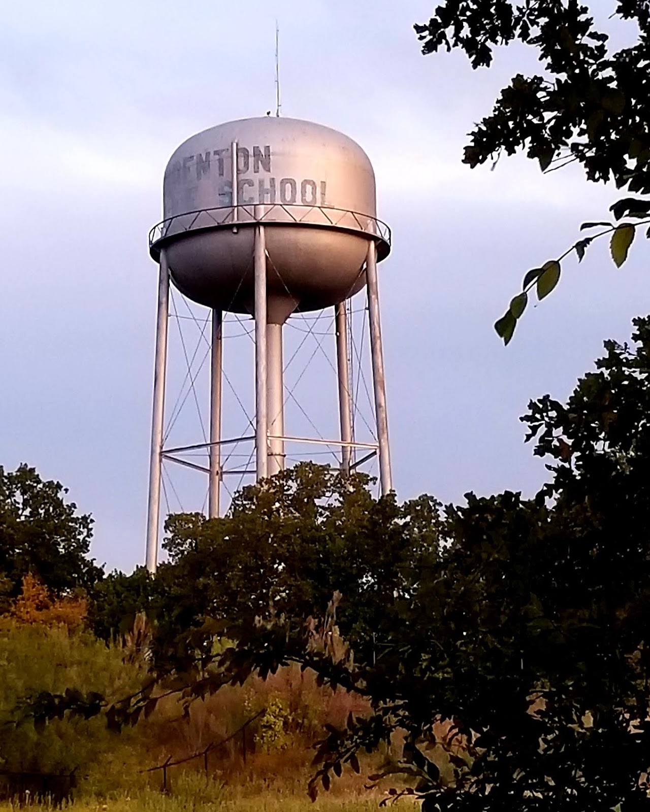 Denton State Supported Living Center