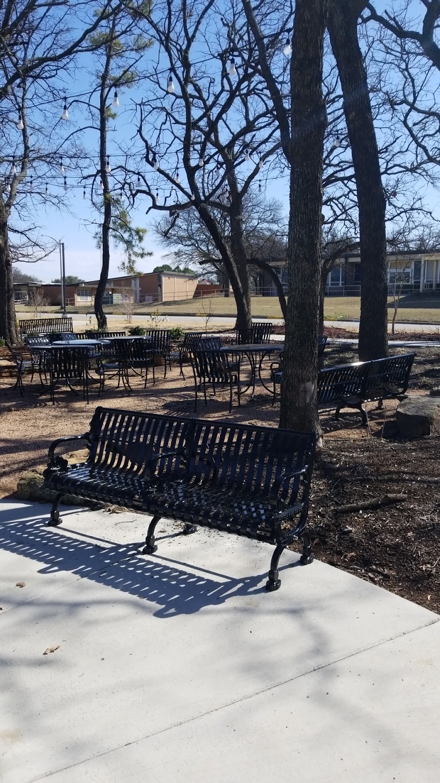 Denton State Supported Living Center