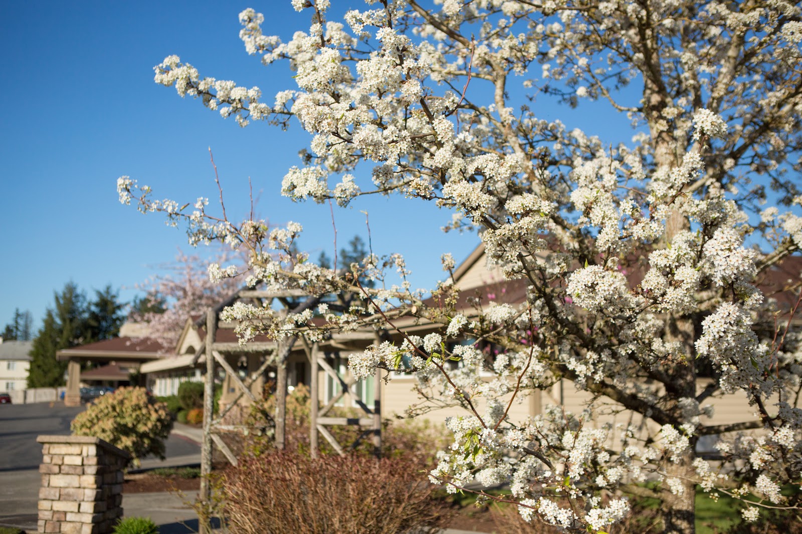 Life Care Center of Port Orchard
