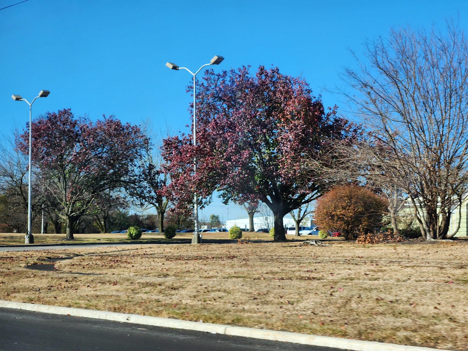 Oasis at the Crescent
