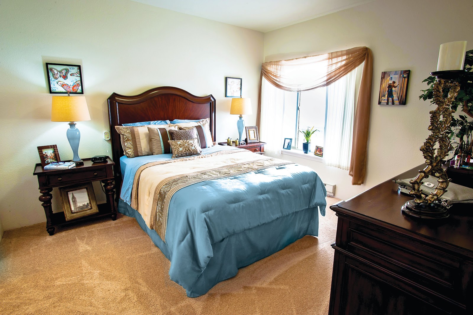 Camden Springs Gracious Retirement Living