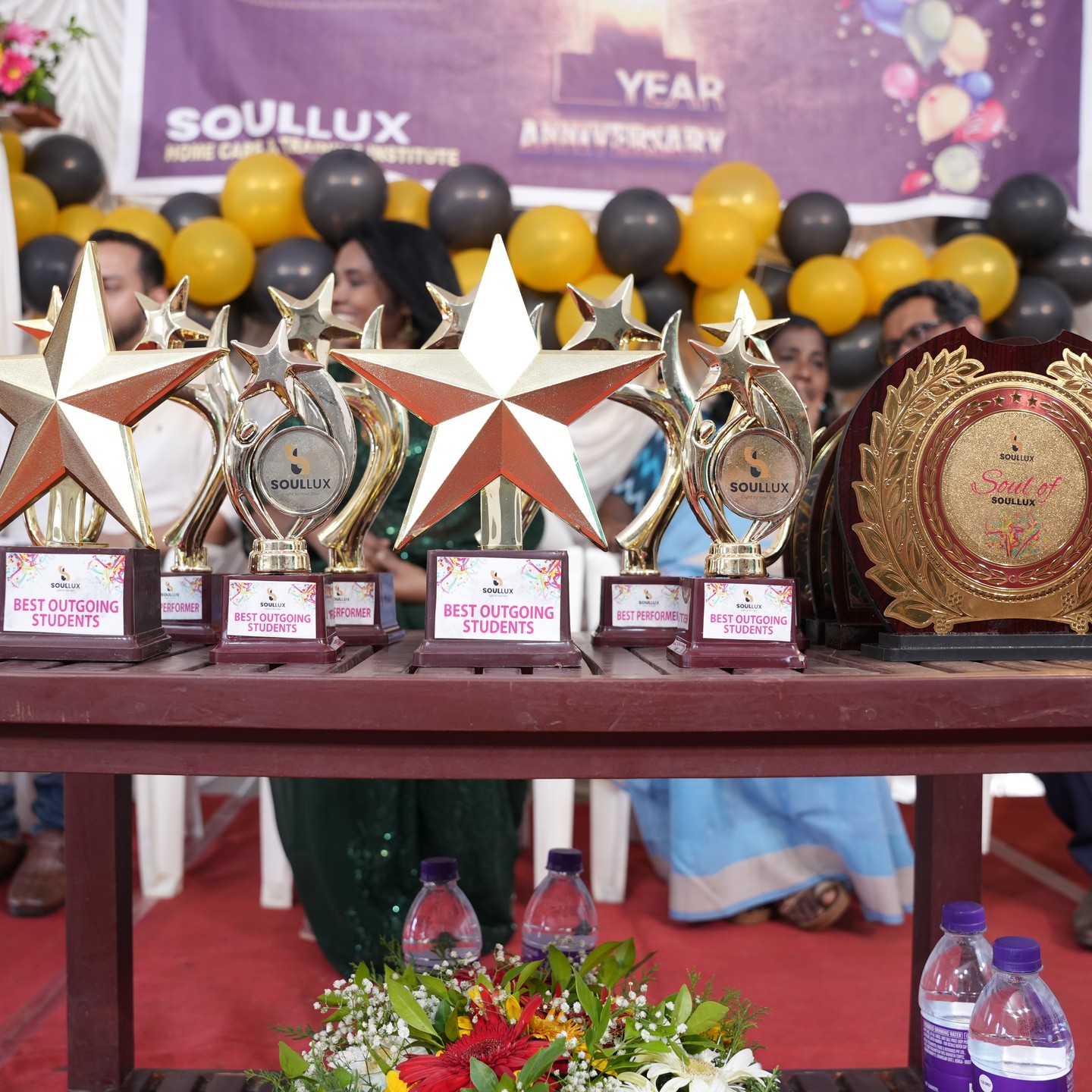 Soullux Homecare & Training Institute