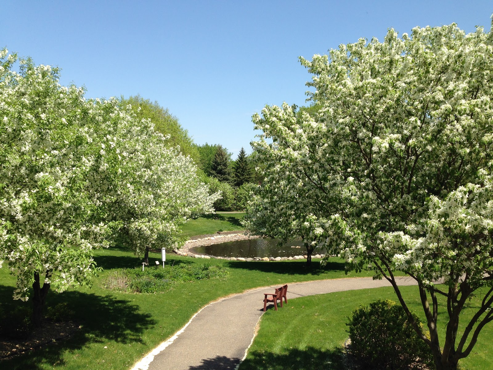 Cloverleaf Courts Senior Community