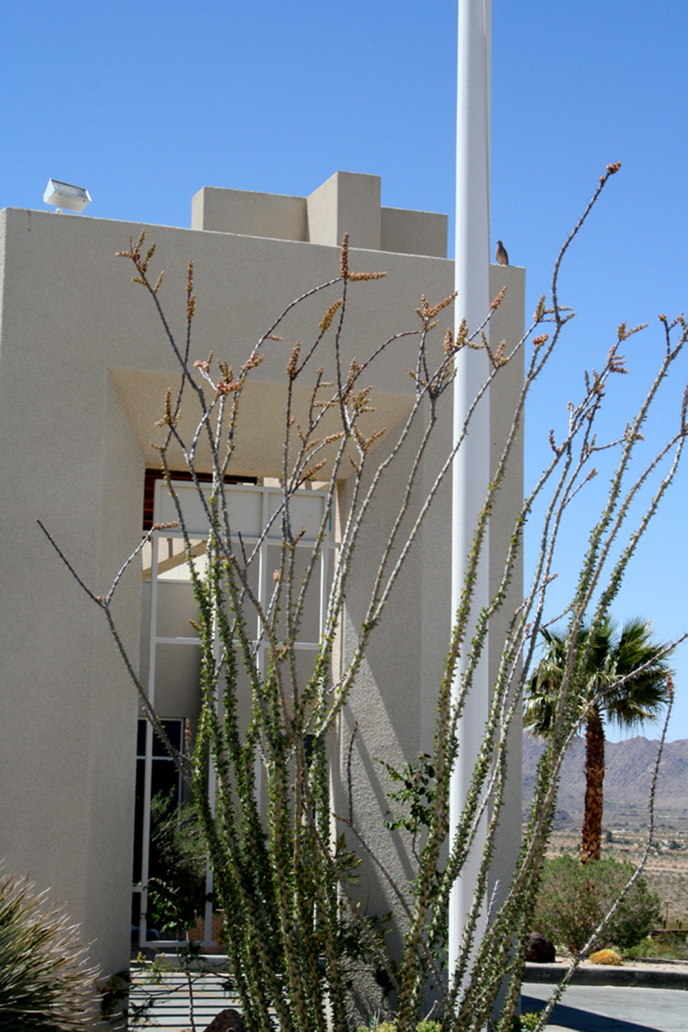Hi-Desert Continuing Care Center