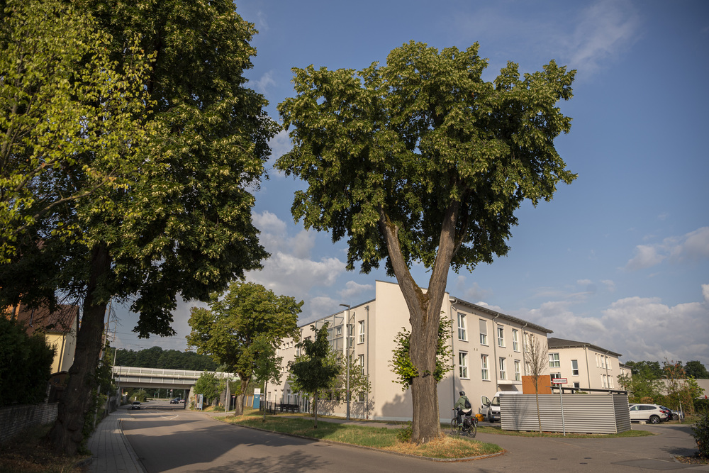 Haus Wolfstein Neumarkt