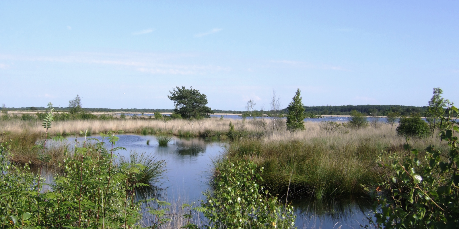 Buitenplaats Fochteloërveen