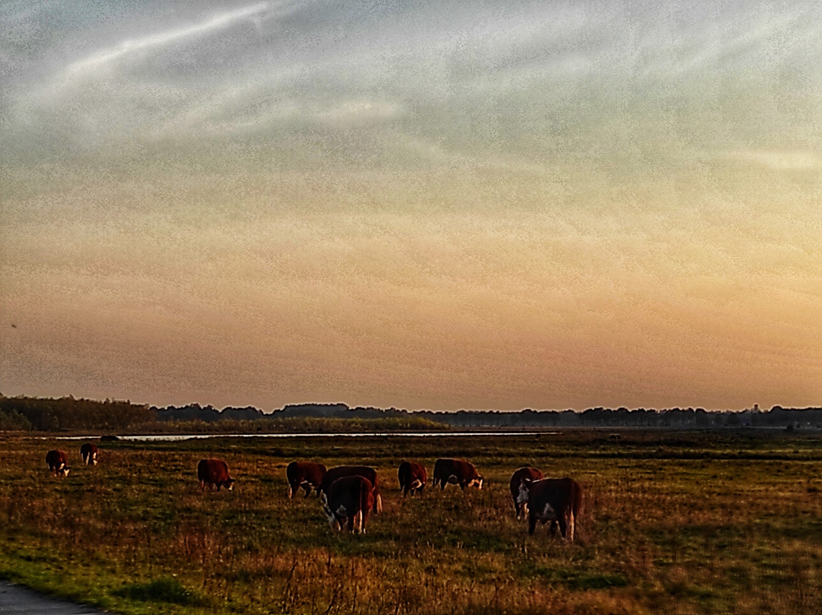 Buitenplaats Fochteloërveen